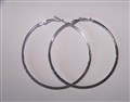 silvertonade hoops.jpg